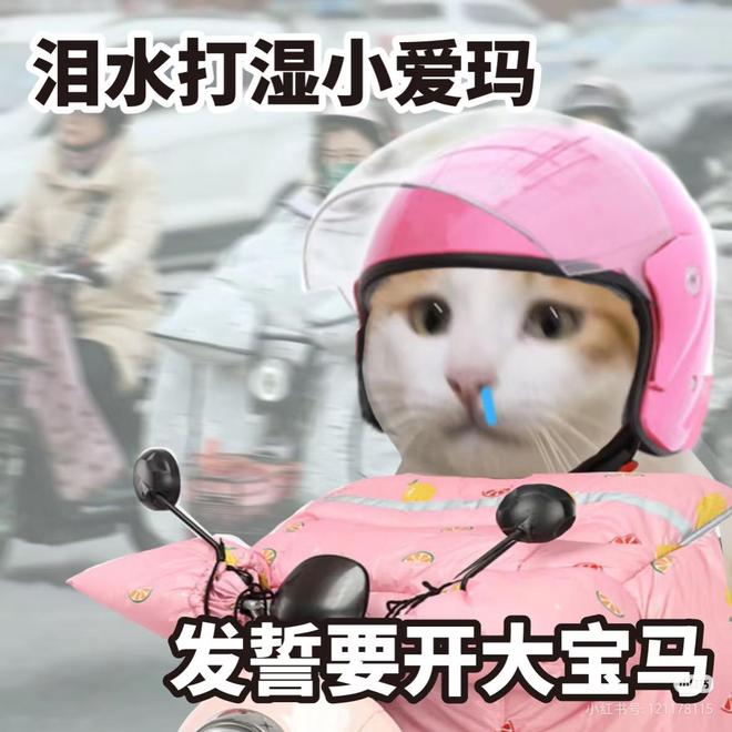 打工人的通勤神器救我狗命